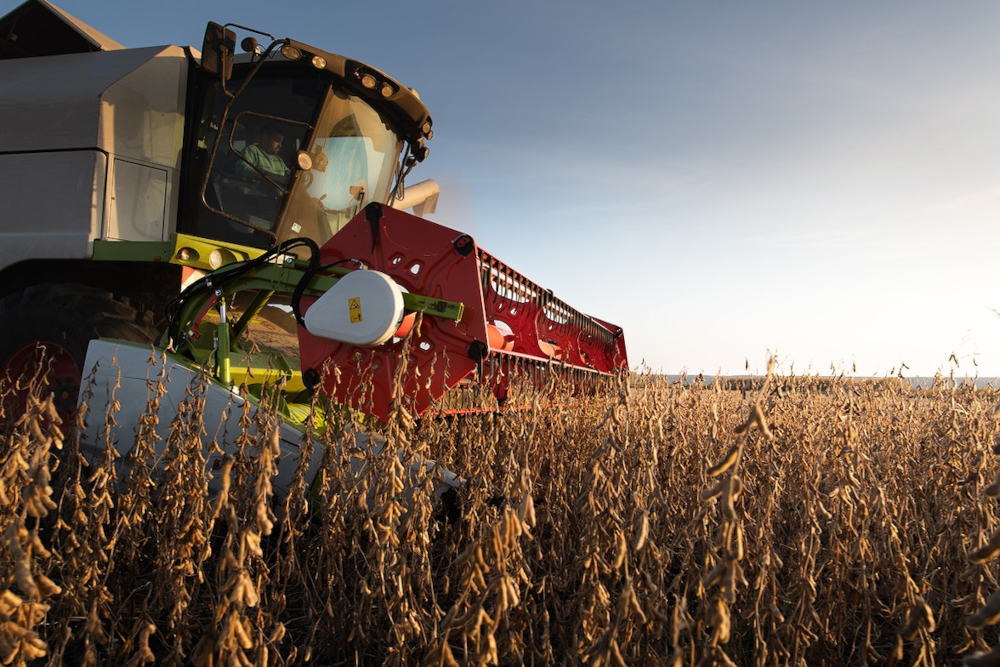 2026 en el agro: señales de reactivación