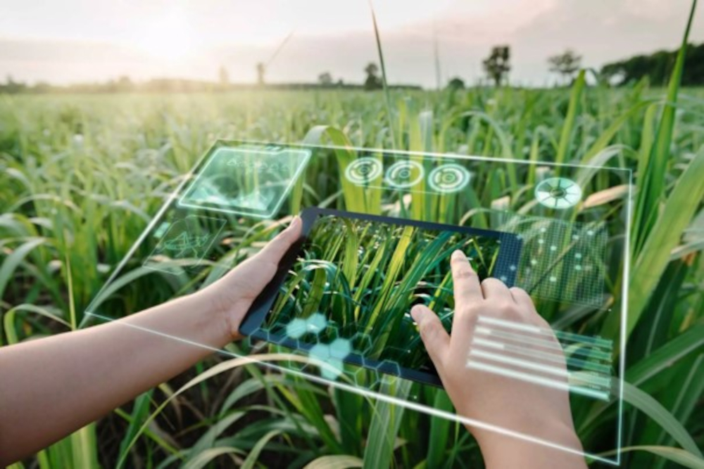 El agro frente al desafío digital: tecnología hay, lo que falta es una nueva forma de pensar 